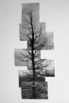 _MG_2815_11_1.jpg