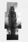 _MG_2777_1_1.jpg