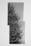_MG_2820_14_1.jpg