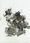 prontoplates-litho (1).jpg