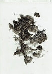prontoplates-litho (3).jpg