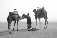 _MG_8595zw_w_maroc_8_1.jpg