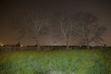 _MG_5234_6_1.jpg