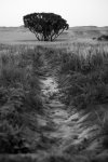 _MG_77181zw_w.jpg